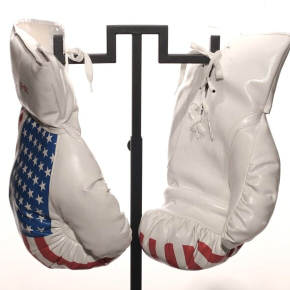 Other - USA Boxing Gloves Red White Blue Last Punch Man Cave